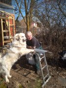 Превью фото № 239766