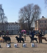 Превью фото № 239798