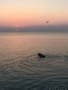 Превью фото № 239799