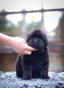 Превью фото № 239902