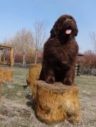 Превью фото № 239942