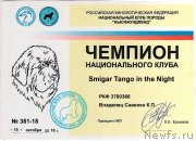 Превью фото № 240000