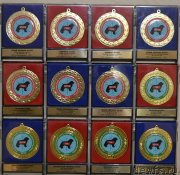 Превью фото № 240085