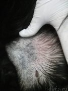 Превью фото № 240097