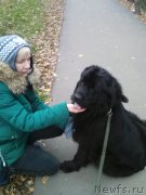 Превью фото № 240098