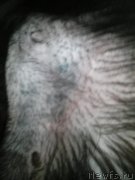 Превью фото № 240102