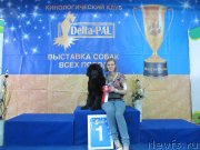 Превью фото № 240130