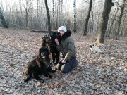 Превью фото № 240170