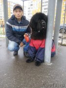 Превью фото № 240176