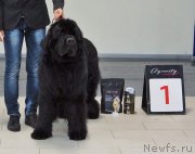 Превью фото № 240182