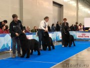 Превью фото № 240191