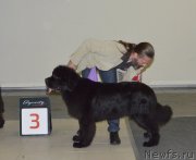 Превью фото № 240203