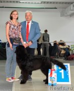 Превью фото № 240221