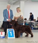 Превью фото № 240228