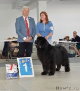 Превью фото № 240232