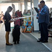 Превью фото № 240237