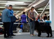 Превью фото № 240239