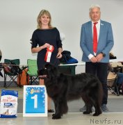 Превью фото № 240240