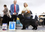 Превью фото № 240241