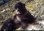 Превью фото № 240243