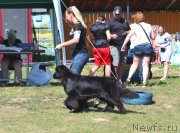 Превью фото № 240333