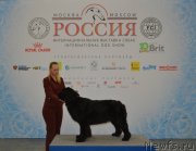 Превью фото № 240335