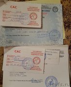 Превью фото № 240337