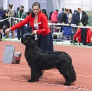 Превью фото № 240338