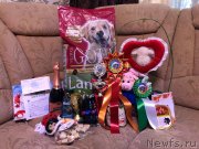 Превью фото № 240408