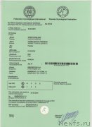 Превью фото № 240430