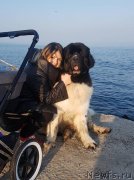 Превью фото № 240459