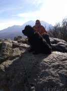 Превью фото № 240460