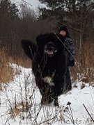 Превью фото № 240488