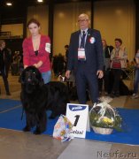 Превью фото № 240603