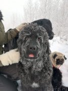 Превью фото № 240622