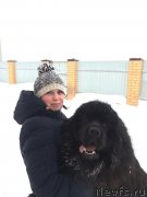 Превью фото № 240623