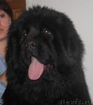 Превью фото № 24063