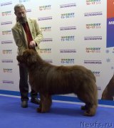 Превью фото № 240630