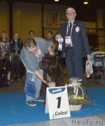 Превью фото № 240633