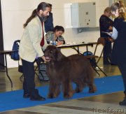 Превью фото № 240648