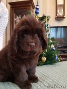 Превью фото № 240659