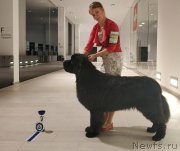 Превью фото № 240710