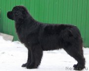 Превью фото № 240714