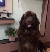 Превью фото № 240844