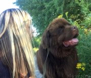 Превью фото № 240852