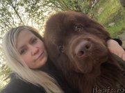 Превью фото № 240854