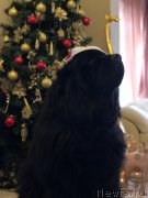 Превью фото № 240874