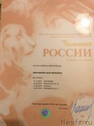 Превью фото № 240881