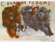 Превью фото № 240895