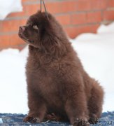 Превью фото № 240900